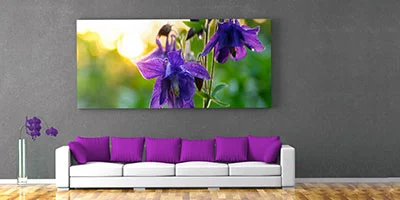 Foto Wandbilder mit Leinwandbild im Wohnzimmer