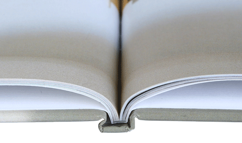 Fotobuch Online Erstellen Ohne Software Digitalfotoversand