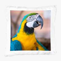 Fotokissen Weiß 40x40