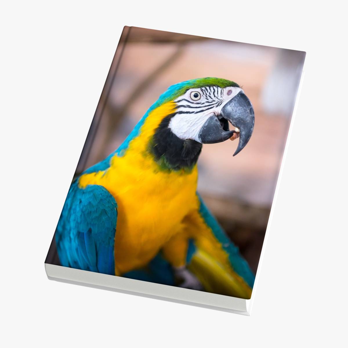 Fotobuch 20x25 online drucken lassen - personalisierbar