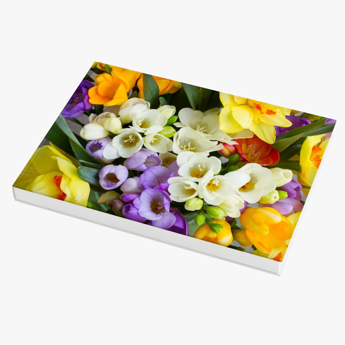 Fotobuch wattiert 25x20 drucken lassen - personalisierbar