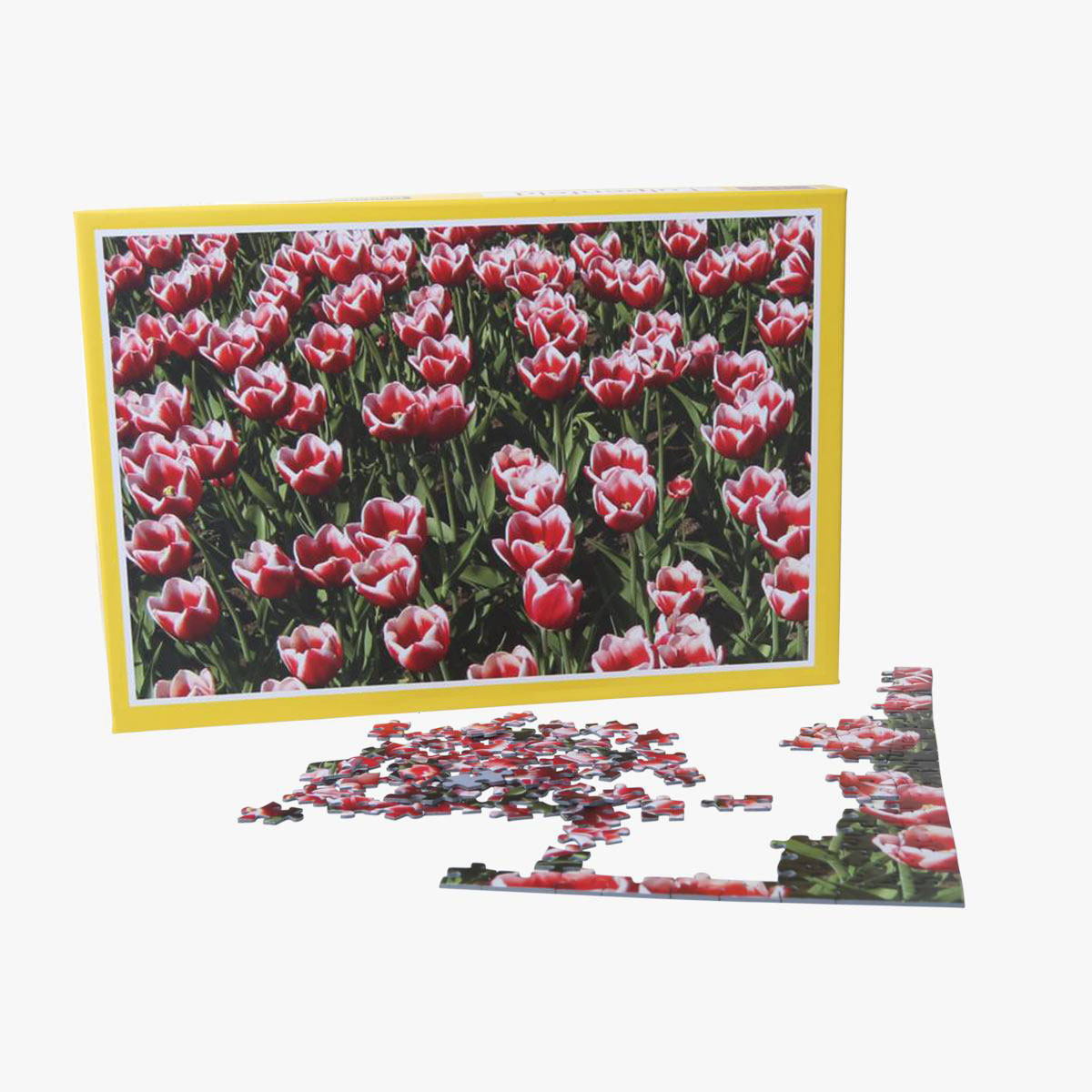 Foto Puzzle A4 online gestalten und bestellen - personalisierbar