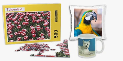 Online Fotoservice für Fotogeschenke